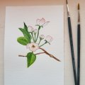 Image client Ensemble de pinceaux synthétiques W&N Foundation Aquarelle - No. 15