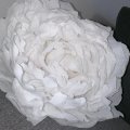 Image client Papier crépon 50 x 250 cm - blanc