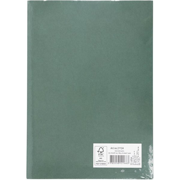 Carton coloré - vert foncé - A4 - 180 g - 20 feuilles Carton coloré - vert foncé - A4 - 180 g - 20 feuilles