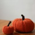 Image client Astrid 50g - Citrouille