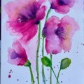 Image client Peinture aquarelle W&N Cotman Demi-tasse - 502 Rose permanente