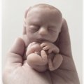 Image client Argile Sculpey Super 450g - Rose/Beige
