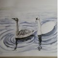 Image client Crayon de couleur Polychromos - 101 Blanc