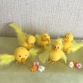 Image client Pieds de poulet 25 paires