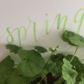 Image client Stylo pinceau Aqua Squeeze - 1mm