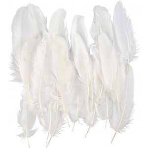Plumes d'oie - blanches - 70 pcs Plumes d'oie - blanches - 70 pcs