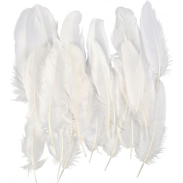 Plumes d'oie - blanches - 70 pcs