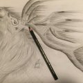 Image client Crayon fusain PITT - Dur