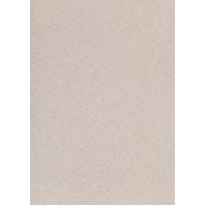 Carton naturel A4 220 g Carton naturel A4 220 g
