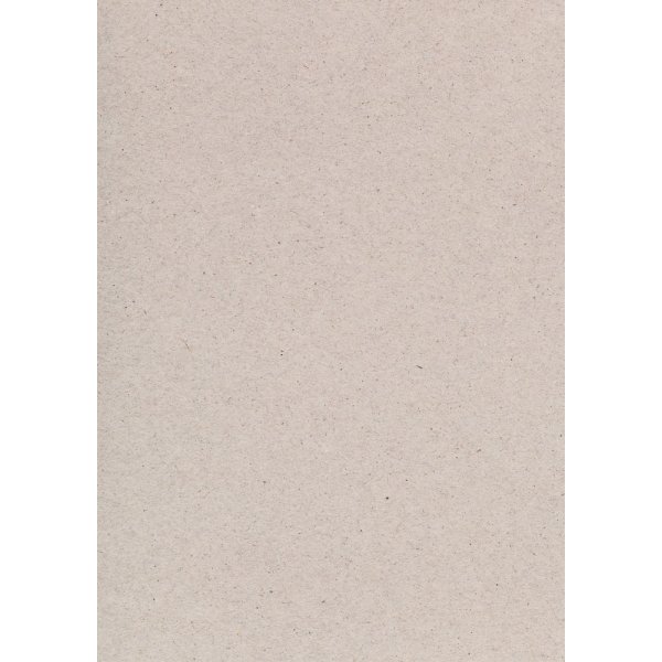 Carton naturel A4 220 g