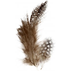 Plumes de pintade - marron - 3 g Plumes de pintade - marron - 3 g