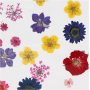Fleurs et feuilles sches - couleurs mlanges
