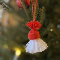 Image client Coton doux 50g - J�rbor rouge