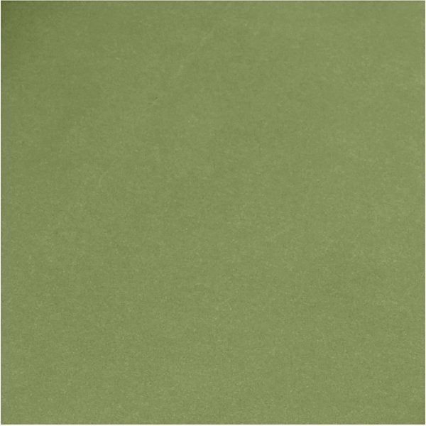 Papier cuir - vert - uni - 1 m Papier cuir - vert - uni - 1 m