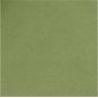 Papier cuir - vert - uni - 1 m