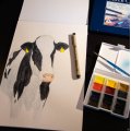 Image client Bloc aquarelle Sense 200g - A4