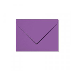 Pollen 75x100 - Paquet de 20 - Violet intense Pollen 75x100 - Paquet de 20 - Violet intense