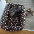 Image client Velbour - Patte et patte de chien - 147 cm