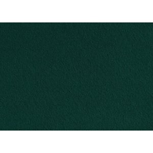 Feutre Hobby - vert foncé - A4 - 10 feuilles Feutre Hobby - vert foncé - A4 - 10 feuilles