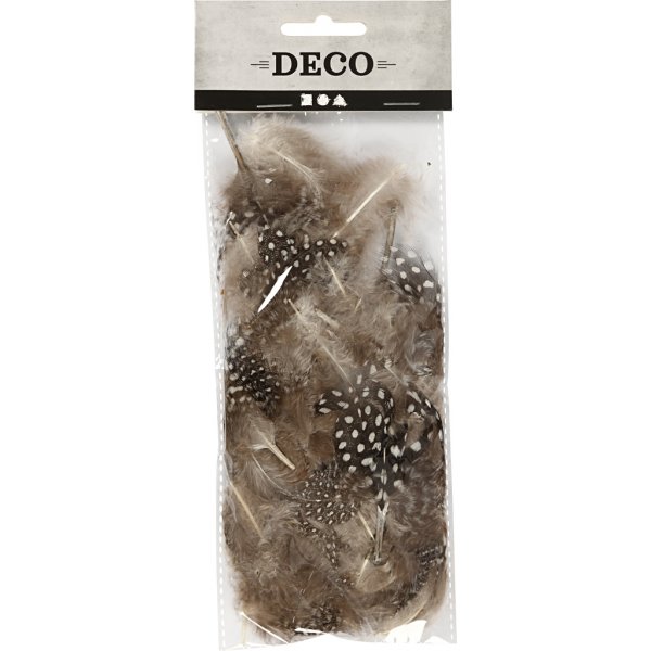 Plumes de pintade - marron - 3 g Plumes de pintade - marron - 3 g