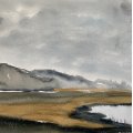 Image client Peinture aquarelle ShinHan Premium PWC 15ml - Davy's Gray (690)