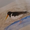 Image client Crayon aquarelle Albrecht D�rer - 132 Chair Claire