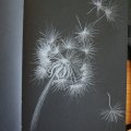 Image client Carnet de croquis Sakura Papier noir 140g 80 feuilles - 13x21 cm