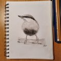 Image client Le dessin Goldfaber - Fusain