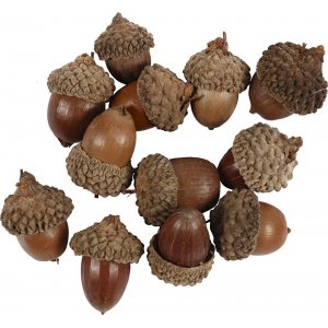 Glands - 12 pcs Glands - 12 pcs