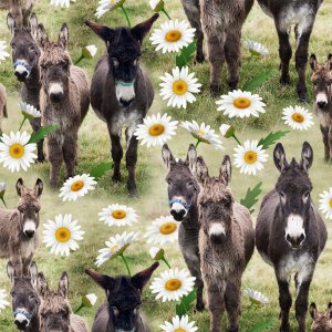 Tricot à motifs 150 cm - Donkey Joe Tricot à motifs 150 cm - Donkey Joe