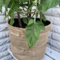 Image client Tissu jute - Naturel - 130 cm