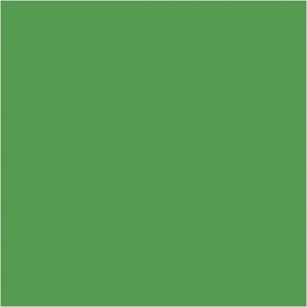 Carton color - vert herbe - A2 - 180 g - 100 feuilles