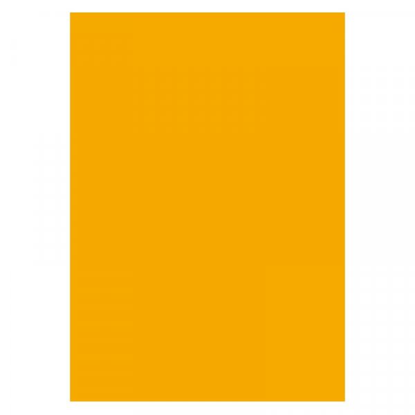 Carton 50x70 cm 300g 10 feuilles