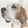 Image client Bloc Aquarelle Coll� Rough Grove Arches 300g - A3