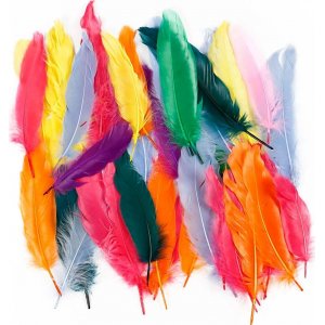 Plumes - couleurs mélangées - 350 pcs Plumes - couleurs mélangées - 350 pcs