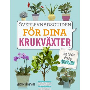 Le guide de survie de vos plantes d"intérieur : Conseils pour les tueurs involontaires de plantes Le guide de survie de vos plantes d"intérieur : Conseils pour les tueurs involontaires de plantes