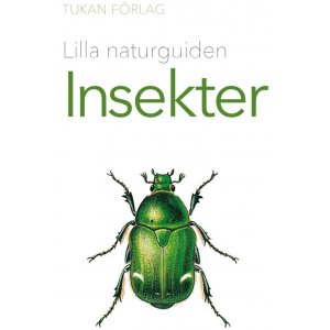 Petit guide nature : Les insectes Petit guide nature : Les insectes