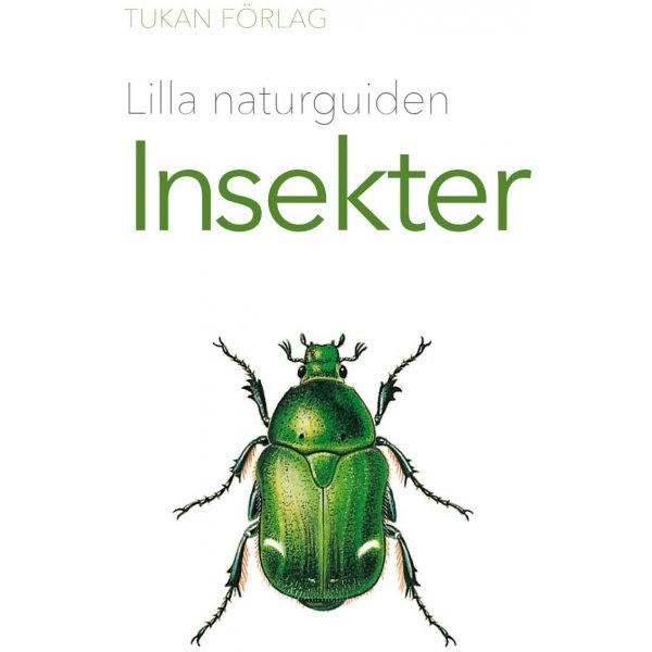 Petit guide nature : Les insectes