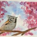 Image client Peinture aquarelle W&N Cotman - Coffret Sketcher's 12 couleurs