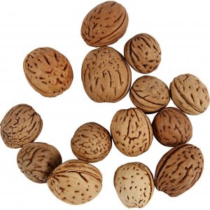 Noix - 25 g Noix - 25 g