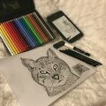 Image client Posca Marqueur PC-1M 0,7 mm Extra Fin - Blanc