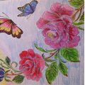 Image client Stylo aquarelle Mondeluz - Boite métal 36 stylos