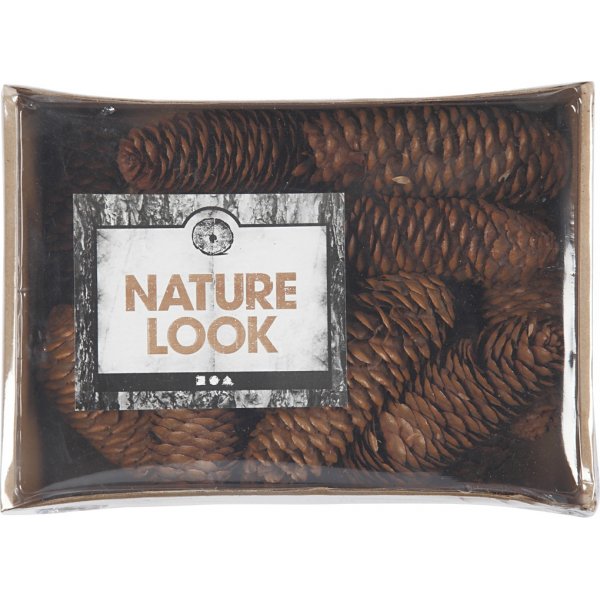 Pommes de pin - 300 g