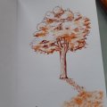 Image client Marqueur acrylique Liquitex 30 ml - 129 Sienne brûlée transparente