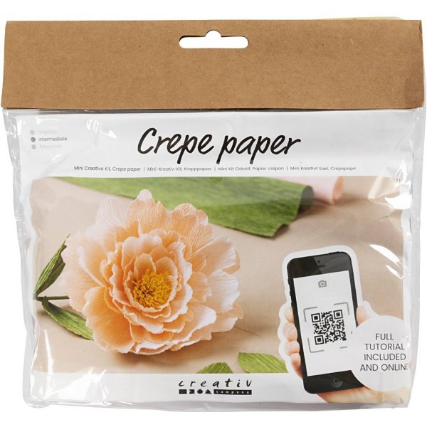 Mini Kit DIY Papier Crpe - Pivoine