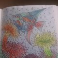 Image client Crayons de couleur Progresso - 12 crayons