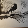 Image client Dessin au fusain W&N - Vide fusain Medium 3p