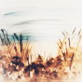 Image client Peinture aquarelle W&N Cotman Tube 8ml - 609 Sépia