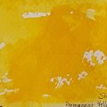 Image client Peinture aquarelle ShinHan Premium PWC 15ml - Perm Yellow Light