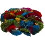 Plumes de pintade - couleurs mlanges - 50 g